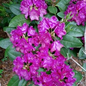 Meet your Posher, Fashionableguy